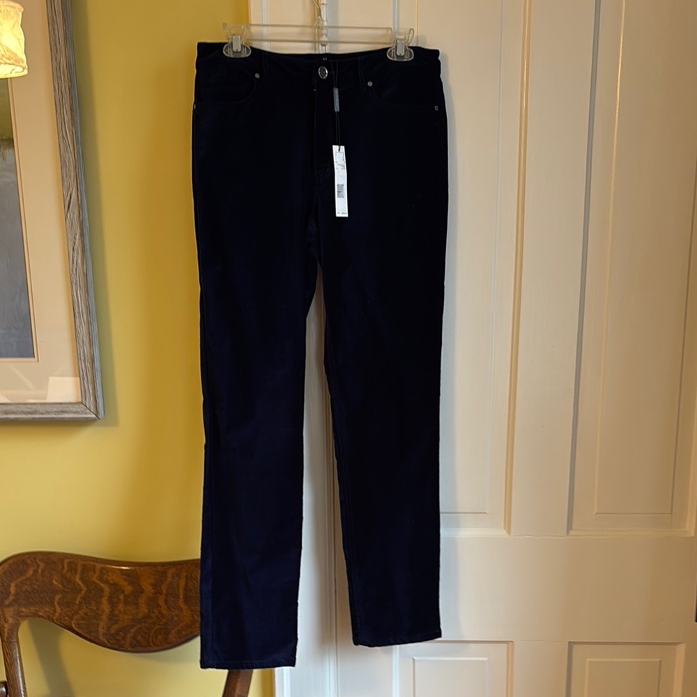 Elie Tahari Rochelle pants in blue velvet, never worn